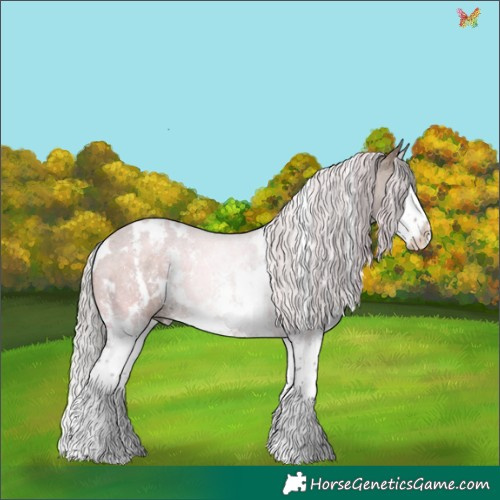 Horse Color:White Spotted Silver Brown Dun Sabino Splash 
