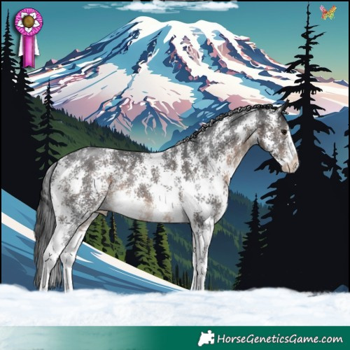 Horse Color:Brown Sabino Rabicano 