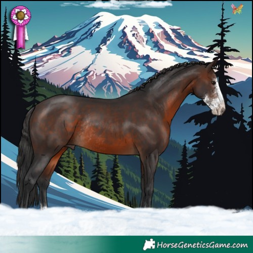 Horse Color:Brown Sabino Rabicano 