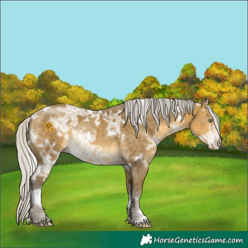 Horse Color:White Spotted Silver Sable Cream Champagne Ice 