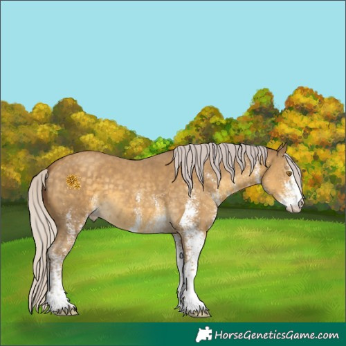 Horse Color:White Spotted Chocolate Silver Classic Cream Champagne 