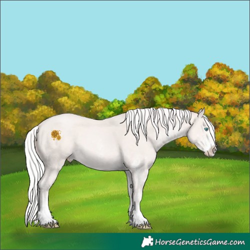Horse Color:White Spotted Silver Smoky Creme 