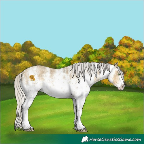 Horse Color:White Spotted Silver Sable Cream Champagne 