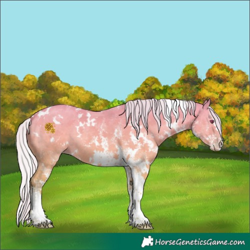 Horse Color:White Spotted Silver Classic Champagne Chinchilla Dun 