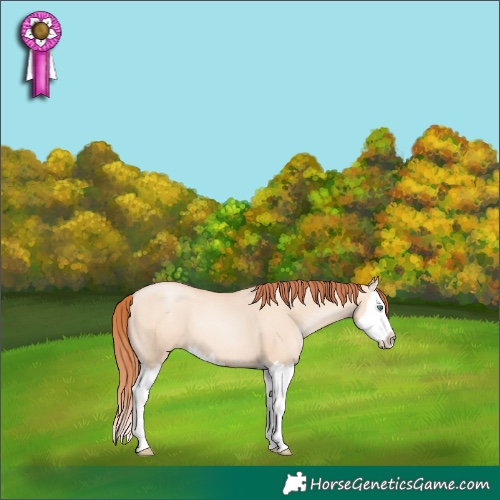 Horse Color:Classic Champagne Pearl Dun Sabino Splash