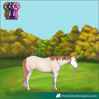 Horse Color:Classic Champagne Pearl Dun Sabino Splash 