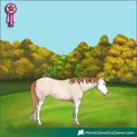 Horse Color:Classic Champagne Pearl Dun Sabino Splash 