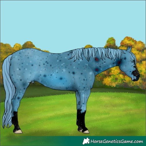 Horse Color:ERROR: UNKNOWN ANOMALY