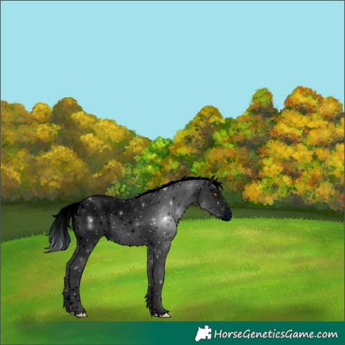 Horse Color:ERROR: UNKNOWN ANOMALY