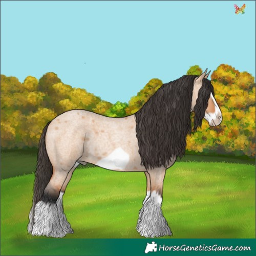 Horse Color:Bay Roan Dun Splash Frame Rabicano 