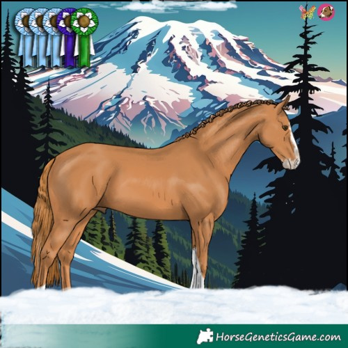 Horse Color:Chestnut Splash Tobiano 