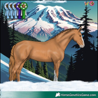 Horse Color:Chestnut Splash Tobiano