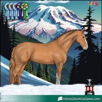 Horse Color:Chestnut Splash Tobiano