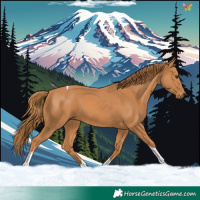 Horse Color:Chestnut Tobiano