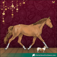 Horse Color:Chestnut Tobiano 