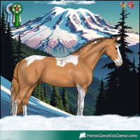 Horse Color:Chestnut Splash Tobiano 