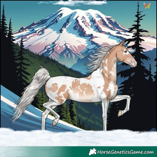 Horse Color:White Spotted Silver Sable Champagne Tobiano 