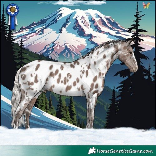 Horse Color:White Spotted Silver Black Appaloosa Rabicano 