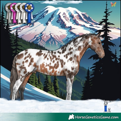 Horse Color:White Spotted Brown Tobiano Appaloosa Rabicano 