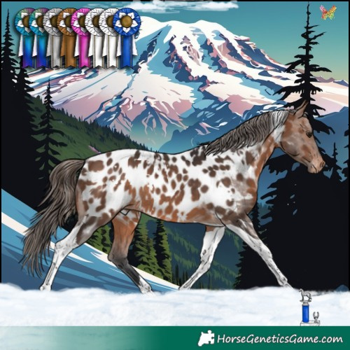 Horse Color:White Spotted Brown Tobiano Appaloosa Rabicano 
