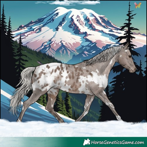 Horse Color:White Spotted Silver Black Appaloosa Rabicano 