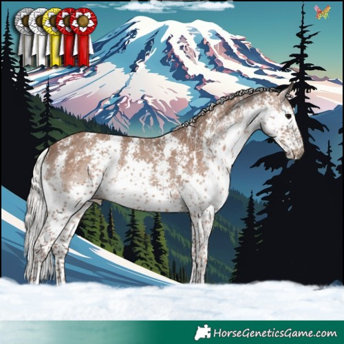 Horse Color:Silver Black Sabino Splash Rabicano 