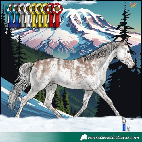 Horse Color:Silver Black Sabino Splash Rabicano 