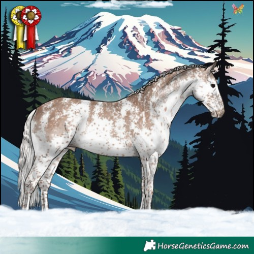 Horse Color:Silver Black Sabino Splash Rabicano 