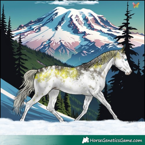 Horse Color:Silver Smoky Black Sabino Splash Rabicano 