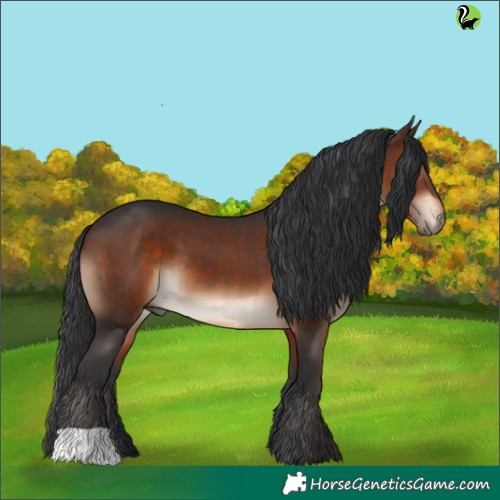 Horse Color:Brown 