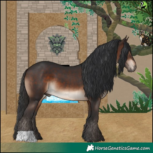 Horse Color:Brown 