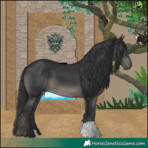 Horse Color:Black 