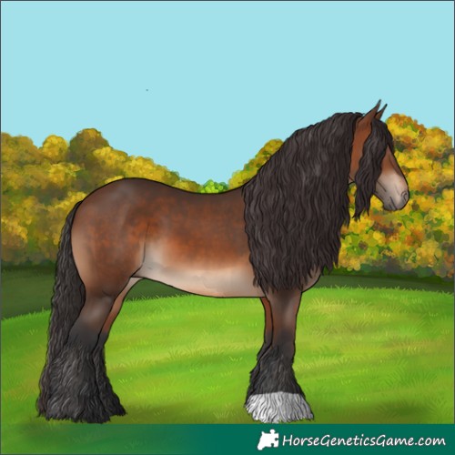 Horse Color:Brown 