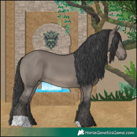 Horse Color:Grullo 