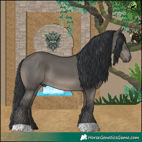Horse Color:Grullo 