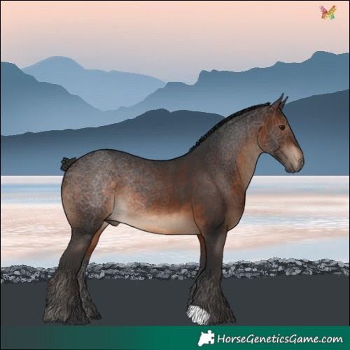 Horse Color:Brown 