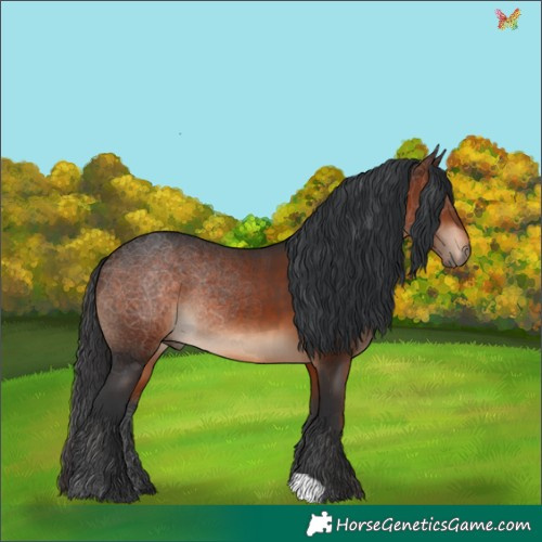 Horse Color:Brown 