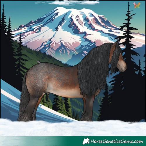 Horse Color:Brown 