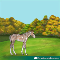 Horse Color:White Spotted Silver Brown Dun 