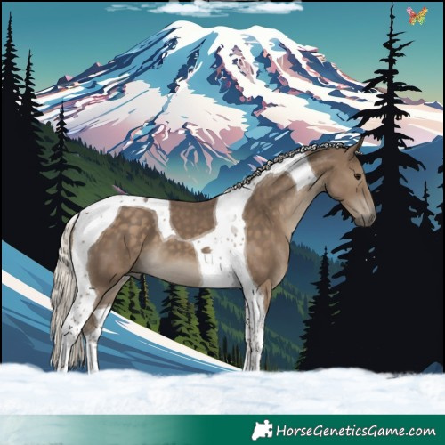 Horse Color:Silver Smoky Black Tobiano 