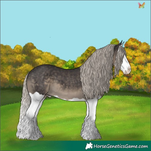 Horse Color:Silver Smoky Black Splash 