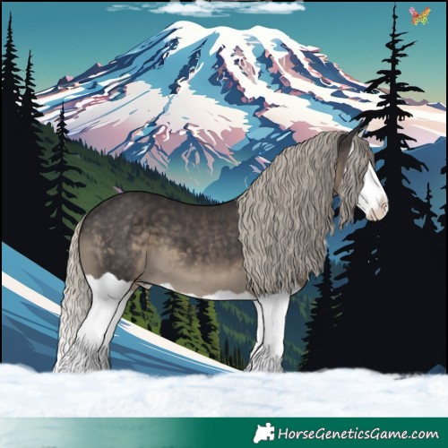 Horse Color:Silver Smoky Black Splash 