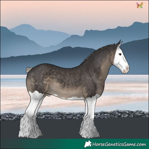 Horse Color:Silver Smoky Black Splash 