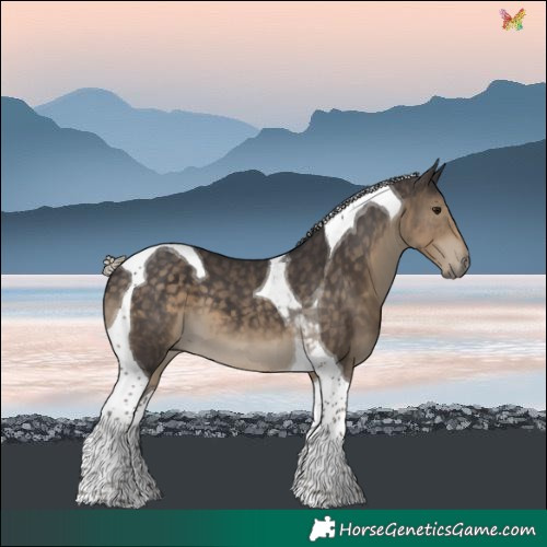 Horse Color:Silver Smoky Black Tobiano 