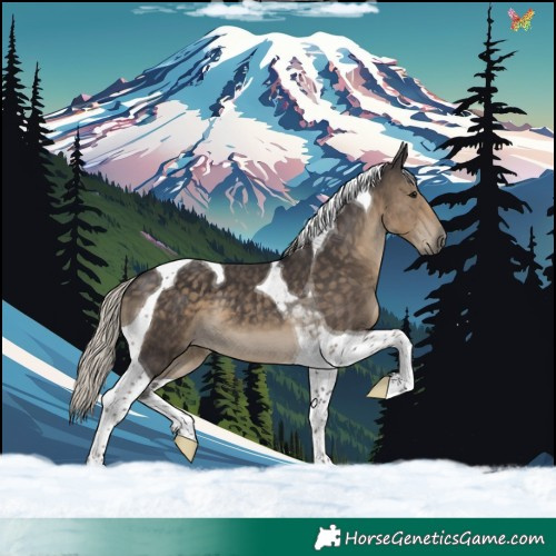 Horse Color:Silver Smoky Black Tobiano 