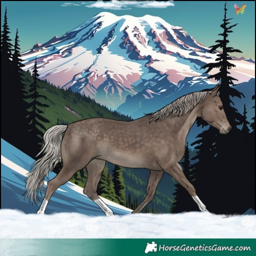 Horse Color:Silver Black 