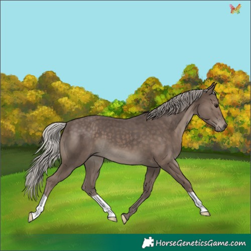 Horse Color:Silver Black 
