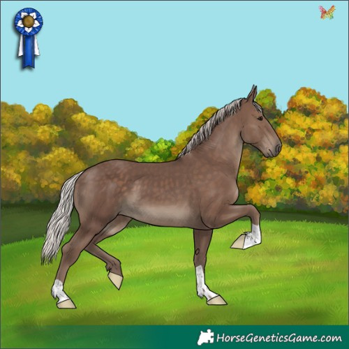 Horse Color:Silver Black 
