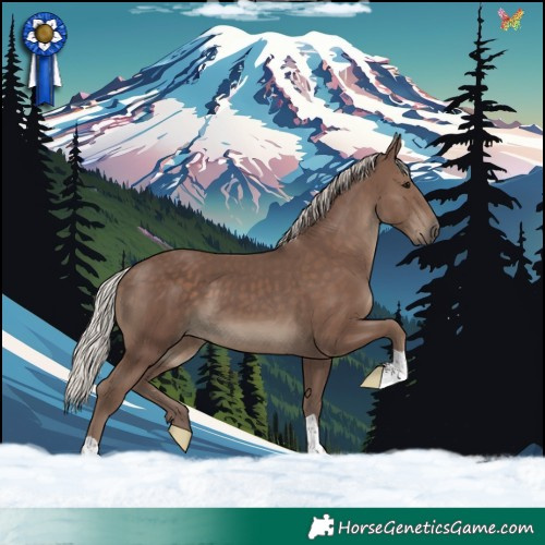 Horse Color:Silver Black 