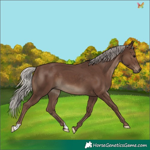 Horse Color:Silver Black 